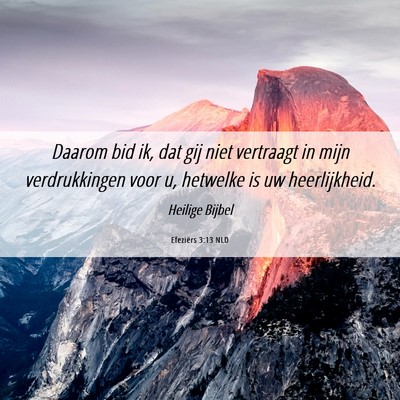 Picture 06 - Efeziërs 3:13 NLD - Daarom bid ik, dat gij niet vertraagt in mijn - Bible Verse Picture