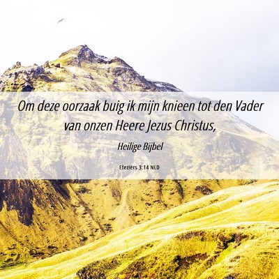 Picture 06 - Efeziërs 3:14 NLD - Om deze oorzaak buig ik mijn knieen tot den Vader - Bible Verse Picture