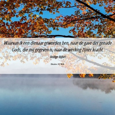 Picture 06 - Efeziërs 3:7 NLD - Waarvan ik een dienaar geworden ben, naar de gave - Bible Verse Picture