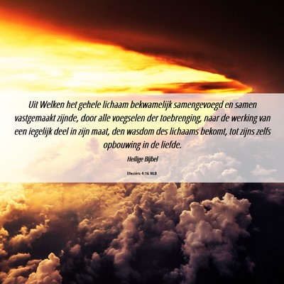 Picture 06 - Efeziërs 4:16 NLD - Uit Welken het gehele lichaam bekwamelijk - Bible Verse Picture