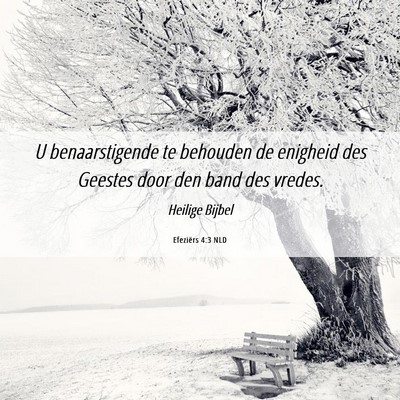 Picture 06 - Efeziërs 4:3 NLD - U benaarstigende te behouden de enigheid des - Bible Verse Picture