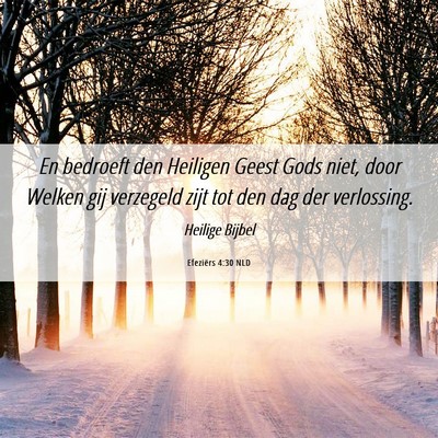 Picture 06 - Efeziërs 4:30 NLD - En bedroeft den Heiligen Geest Gods niet, door - Bible Verse Picture