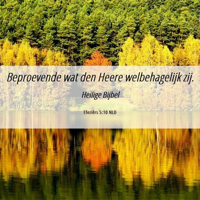 Picture 06 - Efeziërs 5:10 NLD - Beproevende wat den Heere welbehagelijk - Bible Verse Picture