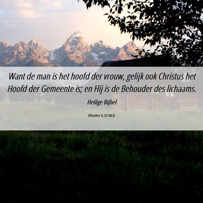 Picture 06 - Efeziërs 5:23 NLD - Want de man is het hoofd der vrouw, gelijk ook - Bible Verse Picture
