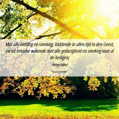 Picture 06 - Efeziërs 6:18 NLD - Met alle bidding en smeking, biddende te allen - Bible Verse Picture