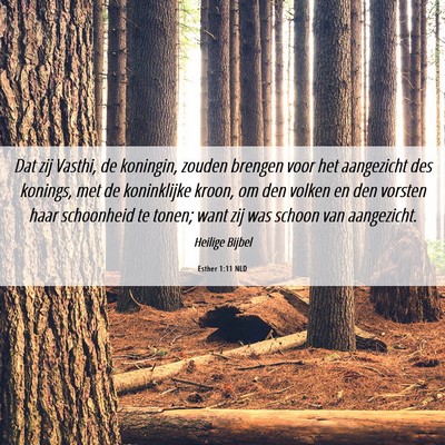 Picture 06 - Esther 1:11 NLD - Dat zij Vasthi, de koningin, zouden brengen voor - Bible Verse Picture