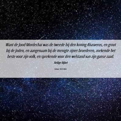 Picture 06 - Esther 10:3 NLD - Want de Jood Mordechai was de tweede bij den - Bible Verse Picture
