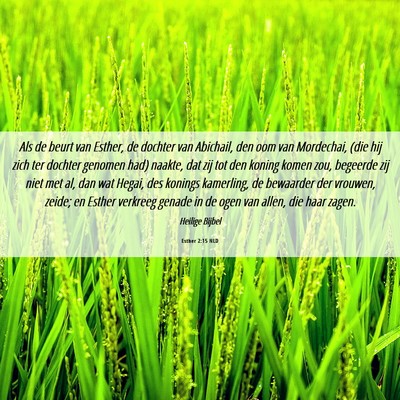 Picture 06 - Esther 2:15 NLD - Als de beurt van Esther, de dochter van Abichail, - Bible Verse Picture