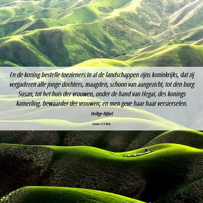 Picture 06 - Esther 2:3 NLD - En de koning bestelle toezieners in al de - Bible Verse Picture