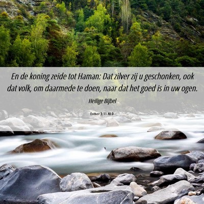 Picture 06 - Esther 3:11 NLD - En de koning zeide tot Haman: Dat zilver zij u - Bible Verse Picture