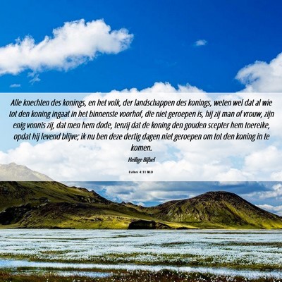 Picture 06 - Esther 4:11 NLD - Alle knechten des konings, en het volk, der - Bible Verse Picture