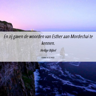 Picture 06 - Esther 4:12 NLD - En zij gaven de woorden van Esther aan Mordechai - Bible Verse Picture