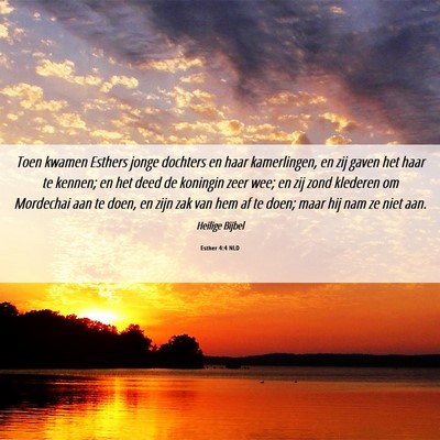 Picture 06 - Esther 4:4 NLD - Toen kwamen Esthers jonge dochters en haar - Bible Verse Picture