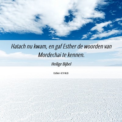 Picture 06 - Esther 4:9 NLD - Hatach nu kwam, en gaf Esther de woorden van - Bible Verse Picture