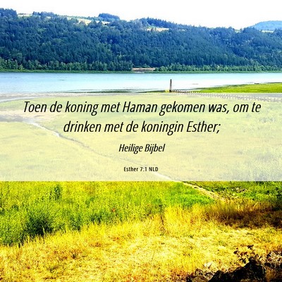Picture 06 - Esther 7:1 NLD - Toen de koning met Haman gekomen was, om te - Bible Verse Picture