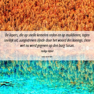 Picture 06 - Esther 8:14 NLD - De lopers, die op snelle kemelen reden en op - Bible Verse Picture