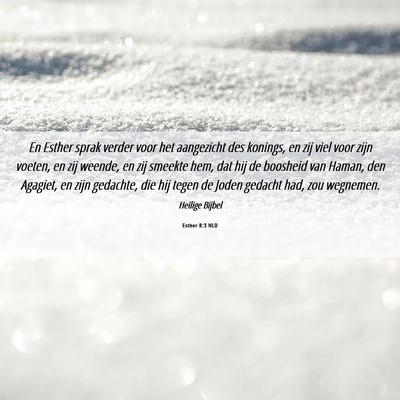 Picture 06 - Esther 8:3 NLD - En Esther sprak verder voor het aangezicht des - Bible Verse Picture
