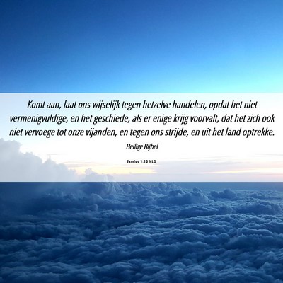 Picture 06 - Exodus 1:10 NLD - Komt aan, laat ons wijselijk tegen hetzelve - Bible Verse Picture