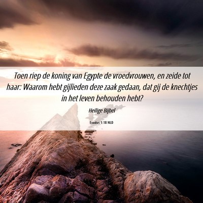 Picture 06 - Exodus 1:18 NLD - Toen riep de koning van Egypte de vroedvrouwen, - Bible Verse Picture