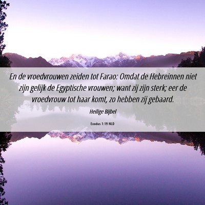 Picture 06 - Exodus 1:19 NLD - En de vroedvrouwen zeiden tot Farao: Omdat de - Bible Verse Picture