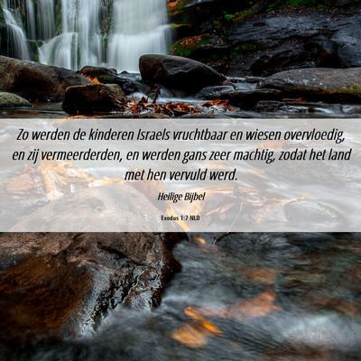 Picture 06 - Exodus 1:7 NLD - Zo werden de kinderen Israels vruchtbaar en - Bible Verse Picture