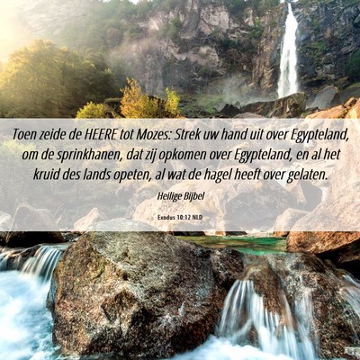 Picture 06 - Exodus 10:12 NLD - Toen zeide de HEERE tot Mozes: Strek uw hand uit - Bible Verse Picture