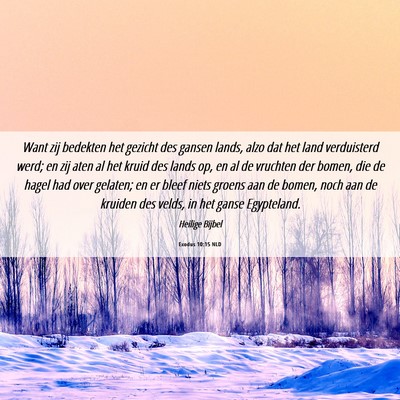 Picture 06 - Exodus 10:15 NLD - Want zij bedekten het gezicht des gansen lands, - Bible Verse Picture
