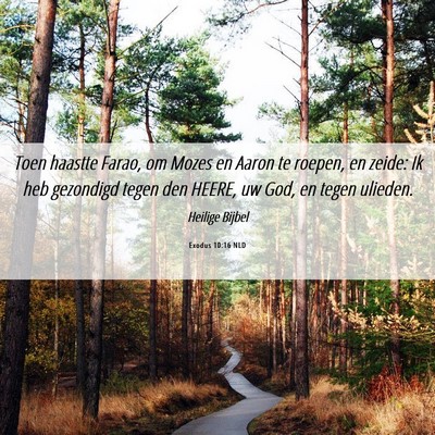 Picture 06 - Exodus 10:16 NLD - Toen haastte Farao, om Mozes en Aaron te roepen, - Bible Verse Picture
