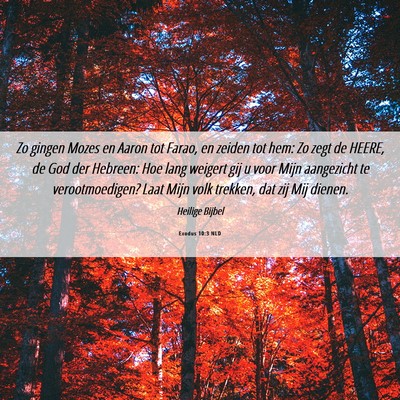 Picture 06 - Exodus 10:3 NLD - Zo gingen Mozes en Aaron tot Farao, en zeiden tot - Bible Verse Picture