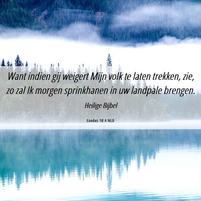 Picture 06 - Exodus 10:4 NLD - Want indien gij weigert Mijn volk te laten - Bible Verse Picture