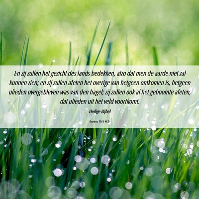 Picture 06 - Exodus 10:5 NLD - En zij zullen het gezicht des lands bedekken, - Bible Verse Picture