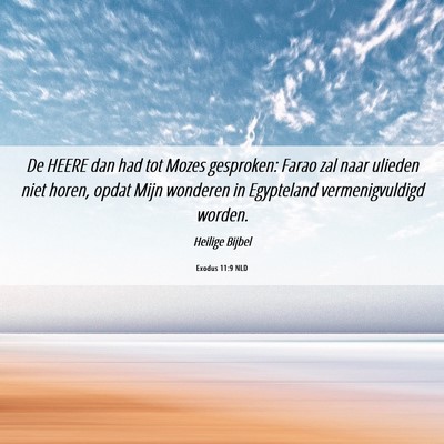 Picture 06 - Exodus 11:9 NLD - De HEERE dan had tot Mozes gesproken: Farao zal - Bible Verse Picture
