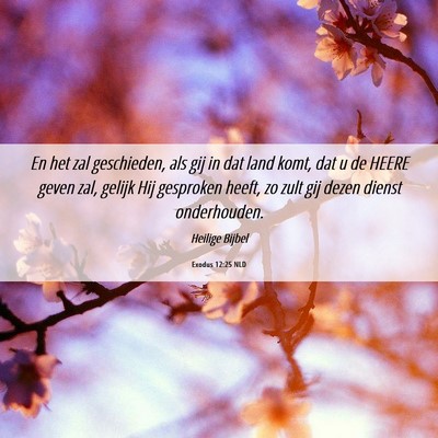 Picture 06 - Exodus 12:25 NLD - En het zal geschieden, als gij in dat land komt, - Bible Verse Picture