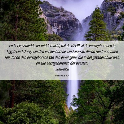 Picture 06 - Exodus 12:29 NLD - En het geschiedde ter middernacht, dat de HEERE - Bible Verse Picture
