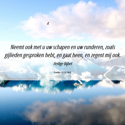 Picture 06 - Exodus 12:32 NLD - Neemt ook met u uw schapen en uw runderen, zoals - Bible Verse Picture