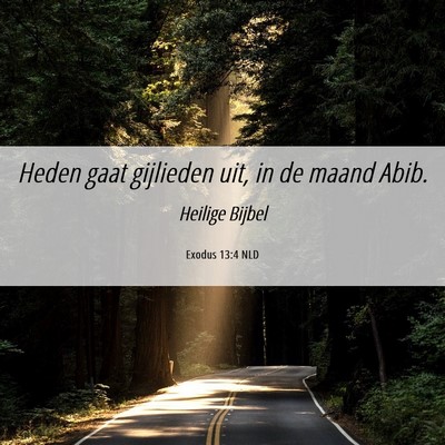 Picture 06 - Exodus 13:4 NLD - Heden gaat gijlieden uit, in de maand - Bible Verse Picture