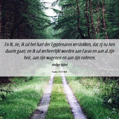 Picture 06 - Exodus 14:17 NLD - En Ik, zie, Ik zal het hart der Egyptenaren - Bible Verse Picture
