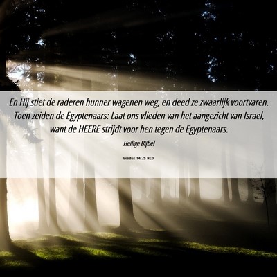 Picture 06 - Exodus 14:25 NLD - En Hij stiet de raderen hunner wagenen weg, en - Bible Verse Picture