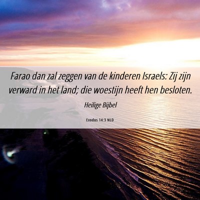 Picture 06 - Exodus 14:3 NLD - Farao dan zal zeggen van de kinderen Israels: Zij - Bible Verse Picture