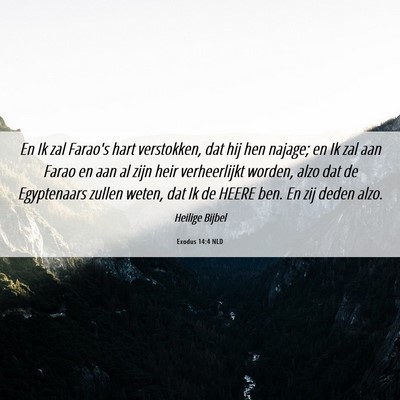 Picture 06 - Exodus 14:4 NLD - En Ik zal Farao's hart verstokken, dat hij hen - Bible Verse Picture