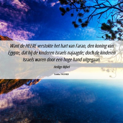 Picture 06 - Exodus 14:8 NLD - Want de HEERE verstokte het hart van Farao, den - Bible Verse Picture