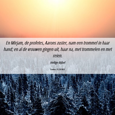 Picture 06 - Exodus 15:20 NLD - En Mirjam, de profetes, Aarons zuster, nam een - Bible Verse Picture