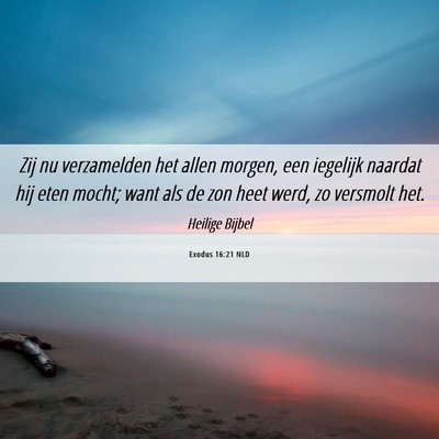 Picture 06 - Exodus 16:21 NLD - Zij nu verzamelden het allen morgen, een iegelijk - Bible Verse Picture