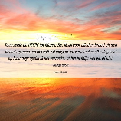 Picture 06 - Exodus 16:4 NLD - Toen zeide de HEERE tot Mozes: Zie, Ik zal voor - Bible Verse Picture
