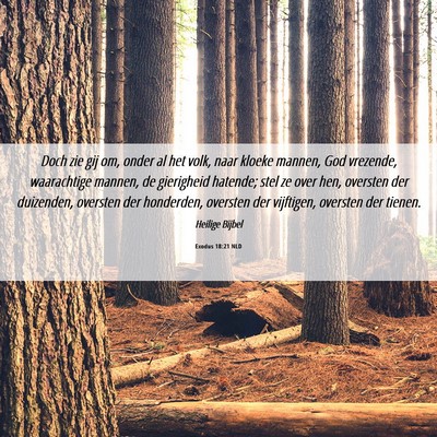 Picture 06 - Exodus 18:21 NLD - Doch zie gij om, onder al het volk, naar kloeke - Bible Verse Picture