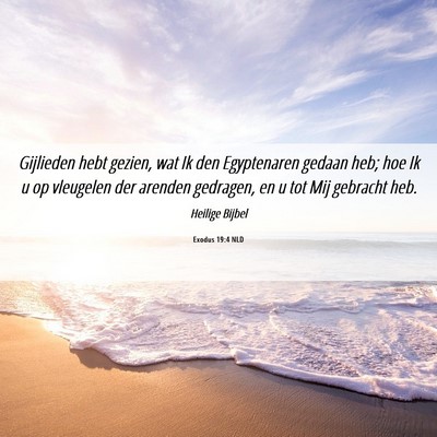 Picture 06 - Exodus 19:4 NLD - Gijlieden hebt gezien, wat Ik den Egyptenaren - Bible Verse Picture