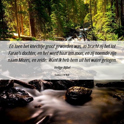 Picture 06 - Exodus 2:10 NLD - En toen het knechtje groot geworden was, zo - Bible Verse Picture