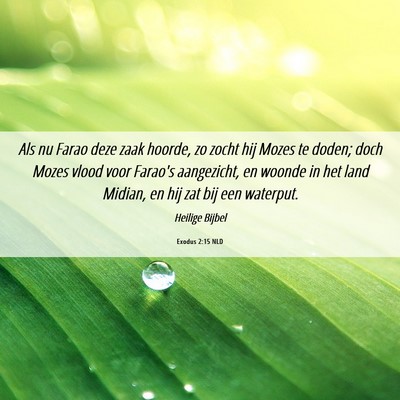 Picture 06 - Exodus 2:15 NLD - Als nu Farao deze zaak hoorde, zo zocht hij Mozes - Bible Verse Picture