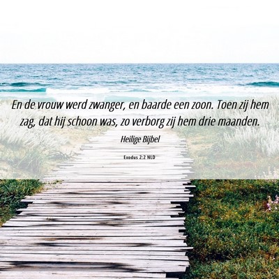 Picture 06 - Exodus 2:2 NLD - En de vrouw werd zwanger, en baarde een zoon. - Bible Verse Picture