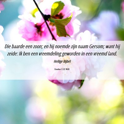 Picture 06 - Exodus 2:22 NLD - Die baarde een zoon; en hij noemde zijn naam - Bible Verse Picture